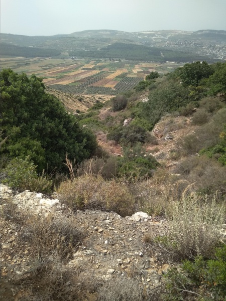 קובץ:2018.05.25-104958.356.android.jpg