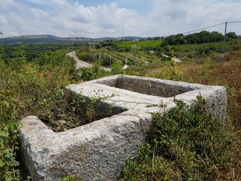 קובץ:2018.06.02-115938.243.android.jpg