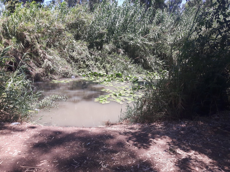 קובץ:2018.07.07-132023.286.android.jpg