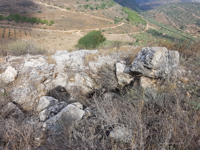 קובץ:2018.07.11-092057.156.android.jpg