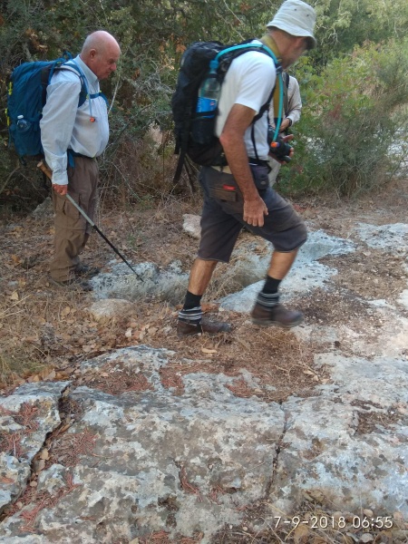 קובץ:2018.09.07-075638.145.android.jpg