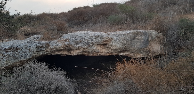 קובץ:2018.10.25-080130.242.android.jpg