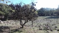 תמונה ממוזערת לגרסה מתאריך 20:33, 23 בנובמבר 2018