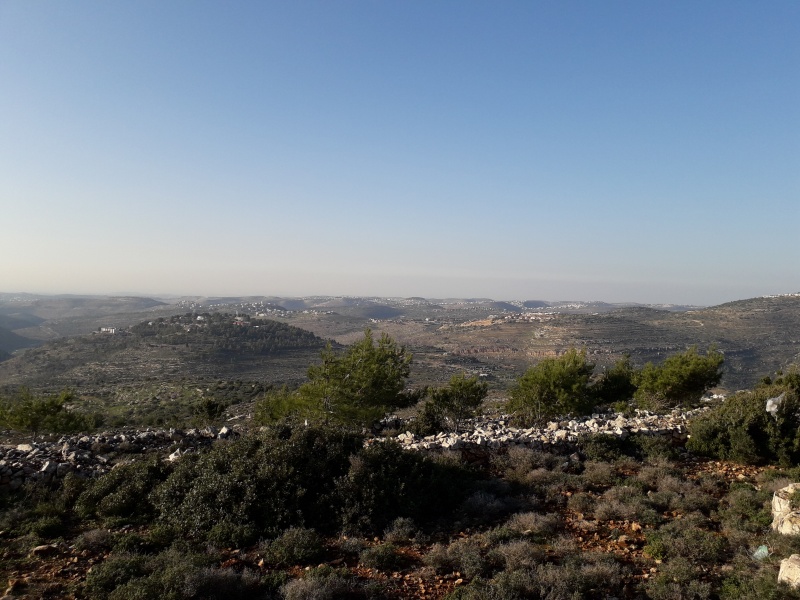 קובץ:2018.12.25-160853.114.android.jpg