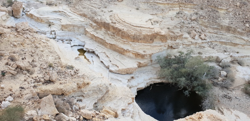 קובץ:20181206 153833.jpg