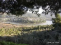 תמונה ממוזערת לגרסה מתאריך 20:58, 5 בינואר 2019