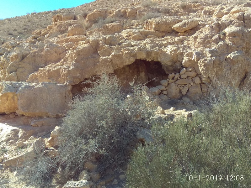 קובץ:2019.01.10-130926.037.android.jpg