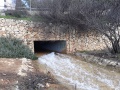 תמונה ממוזערת לגרסה מתאריך 22:13, 3 בפברואר 2019