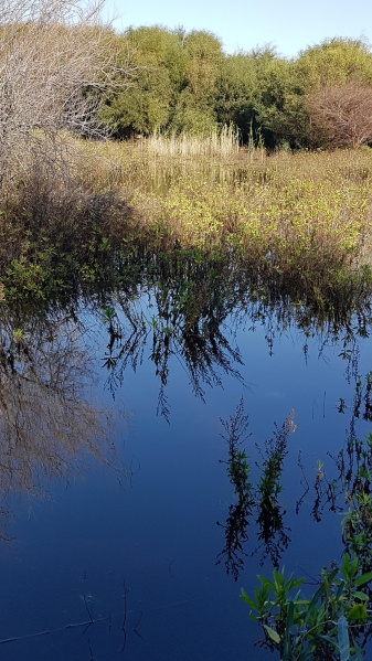 קובץ:2019.01.10-152501.527.android.jpg