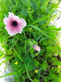 2019.01.11-133049.570.android.jpg