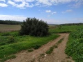 תמונה ממוזערת לגרסה מתאריך 23:14, 26 בינואר 2019