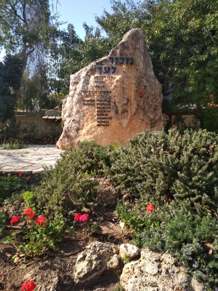 קובץ:2019.01.23-134049.972.android.jpg