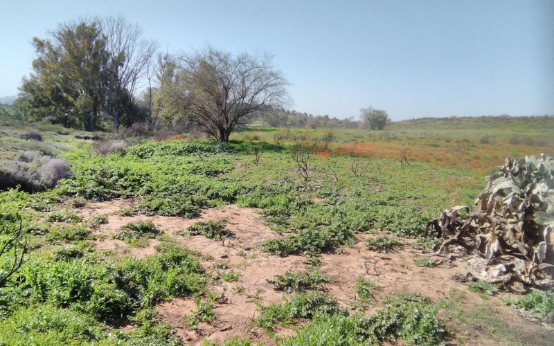 קובץ:2019.02.01-112841.992.android.jpg