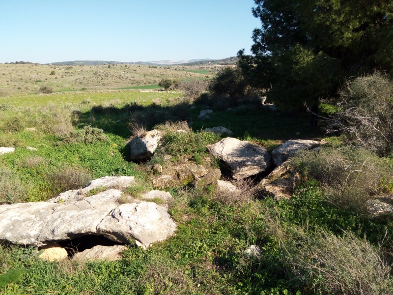 קובץ:2019.02.02-146023.149.android.jpg