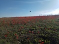 תמונה ממוזערת לגרסה מתאריך 13:07, 8 באפריל 2019