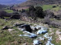 תמונה ממוזערת לגרסה מתאריך 00:24, 8 בפברואר 2019