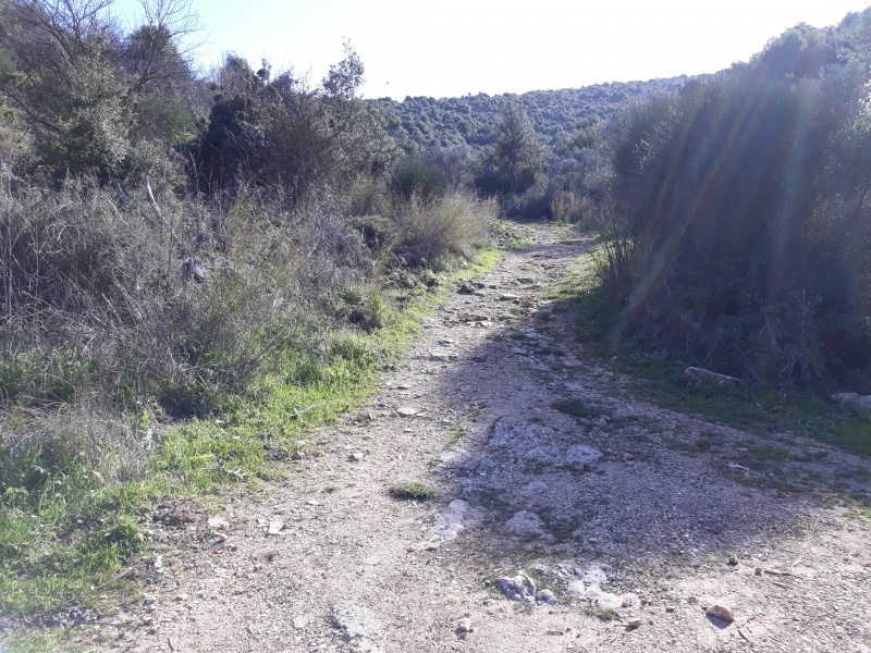 קובץ:2019.02.05-151527.022.android.jpg