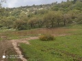 תמונה ממוזערת לגרסה מתאריך 05:09, 24 באפריל 2019