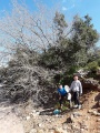 תמונה ממוזערת לגרסה מתאריך 01:59, 9 במרץ 2019