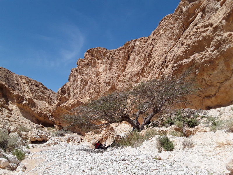 קובץ:2019.03.22-115822.238.android.jpg