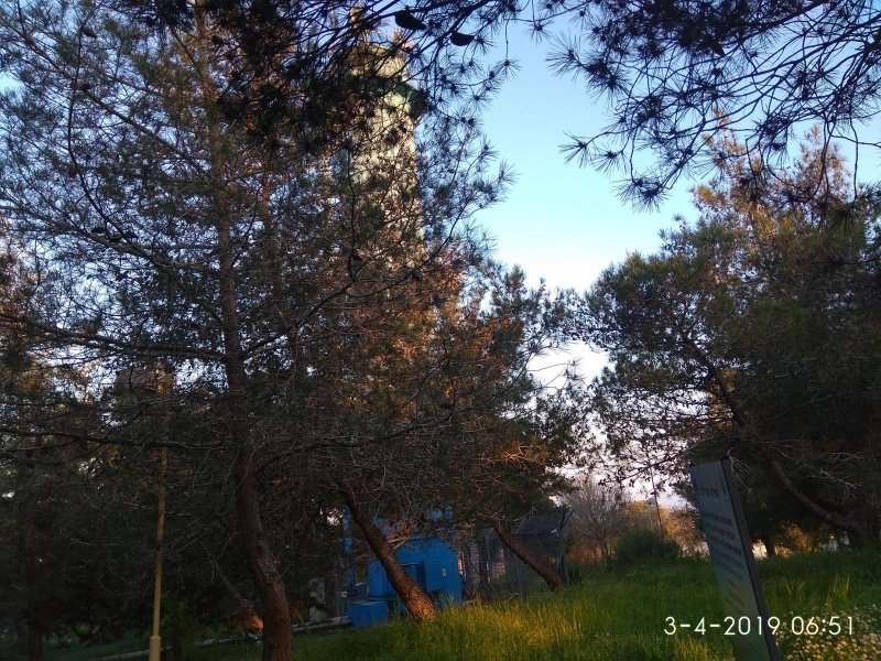 קובץ:2019.04.03-075259.438.android.jpg