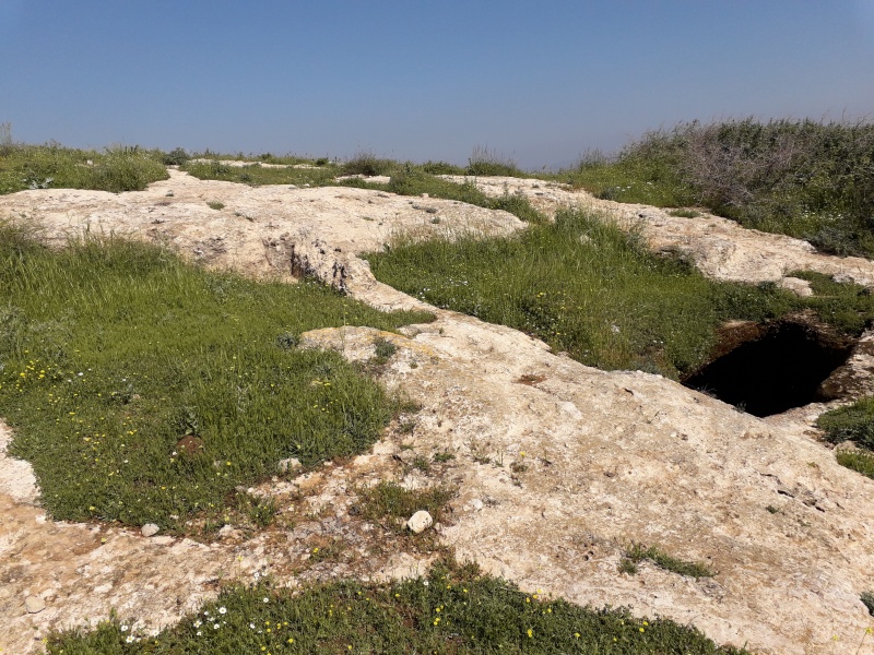 קובץ:2019.04.03-111004.039.android.jpg