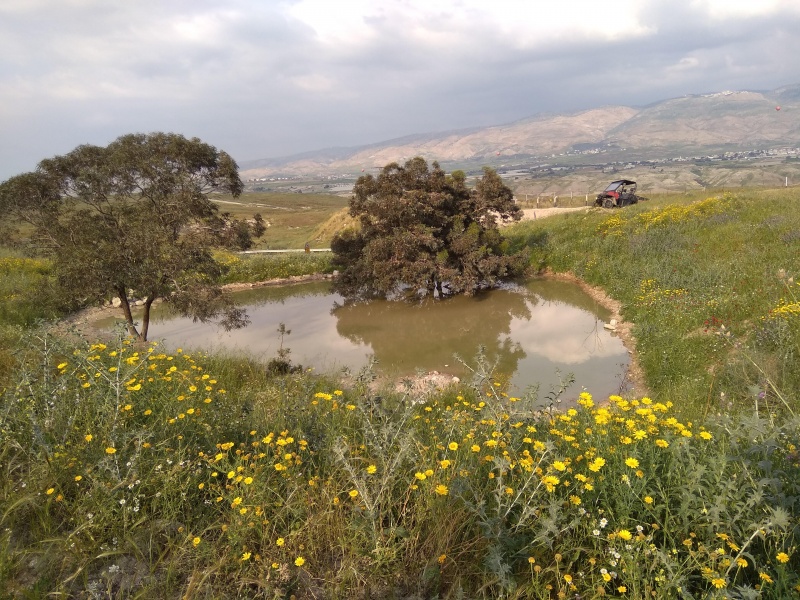 קובץ:2019.04.05-180937.021.android.jpg