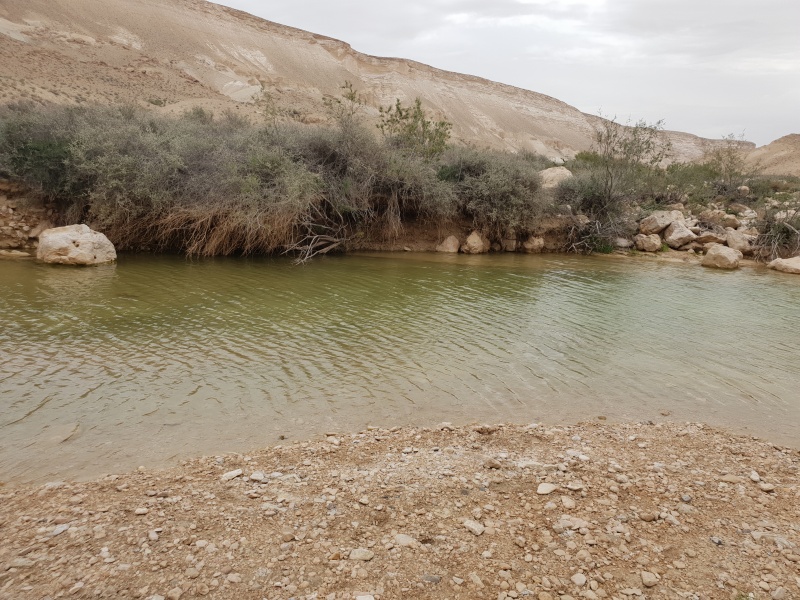 קובץ:2019.04.06-153609.244.android.jpg