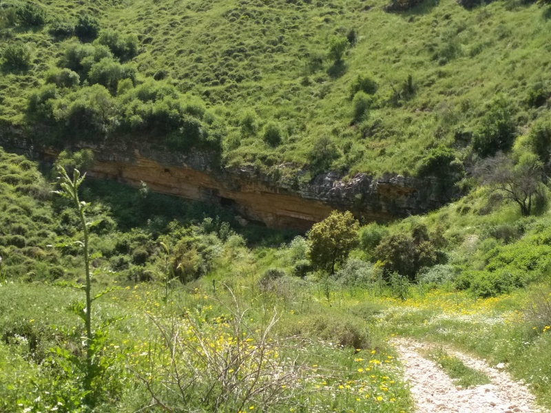 קובץ:2019.04.12-141620.526.android.jpg