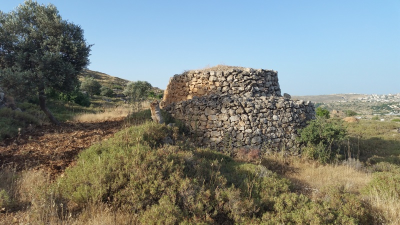 קובץ:2019.06.03-081820.815.android.jpg