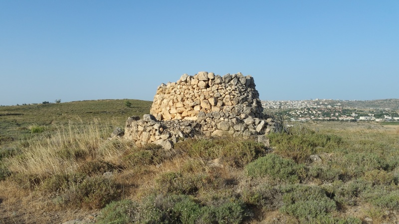 קובץ:2019.06.03-082507.121.android.jpg