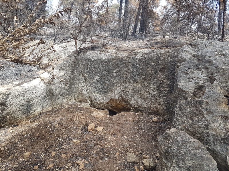 קובץ:2019.06.04-151044.477.android.jpg