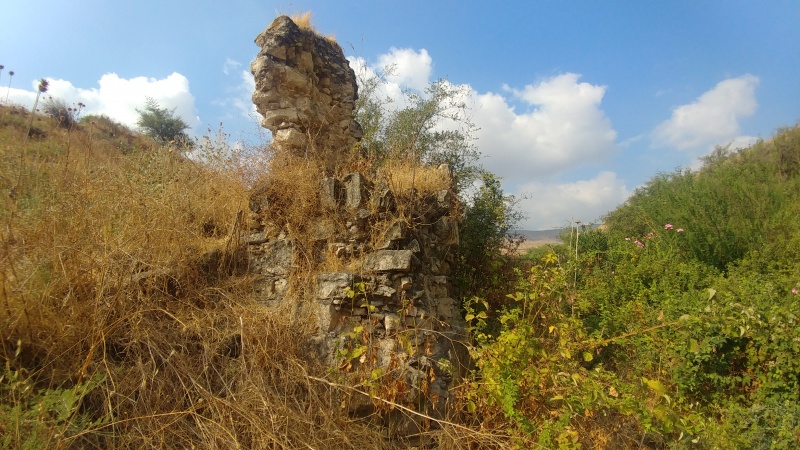 קובץ:2019.08.02-095827.521.android.jpg