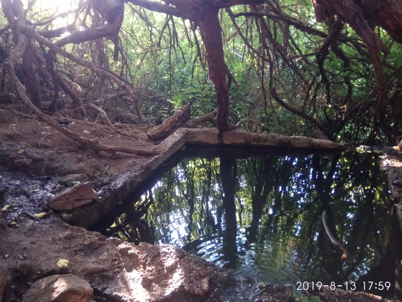 קובץ:2019.08.13-186015.585.android.jpg