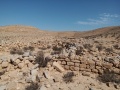 תמונה ממוזערת לגרסה מתאריך 11:40, 21 באוקטובר 2019