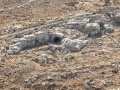 תמונה ממוזערת לגרסה מתאריך 13:14, 17 בנובמבר 2019