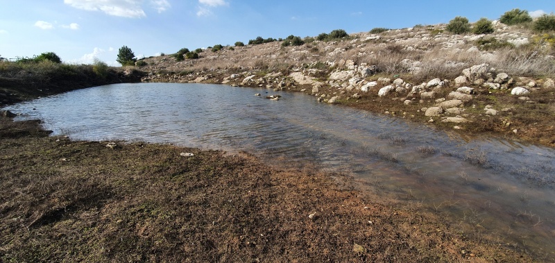 קובץ:2020-01-30T14 15 00.561337477815.jpg