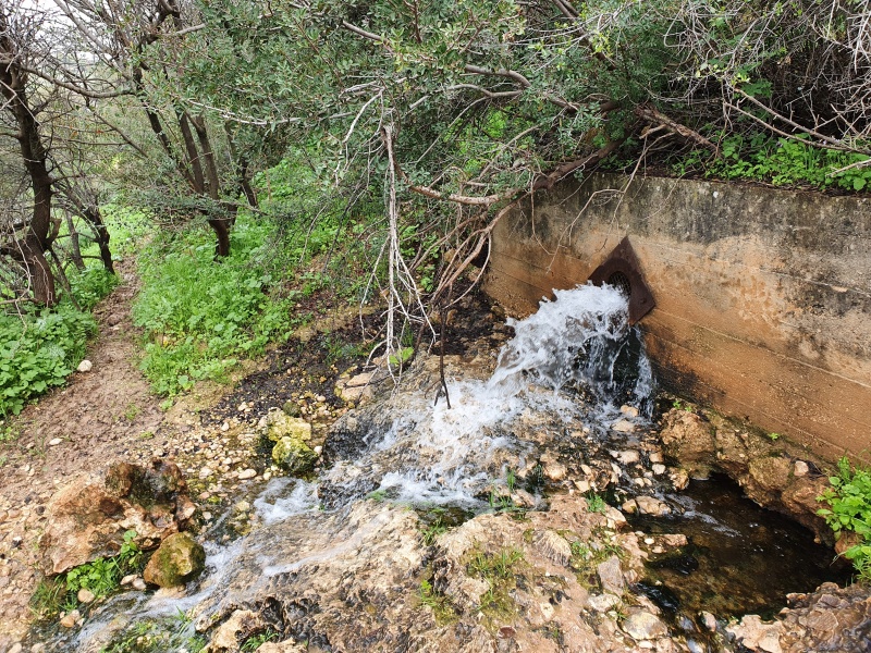 קובץ:2020-02-22T13 48 52.31724227263.jpg