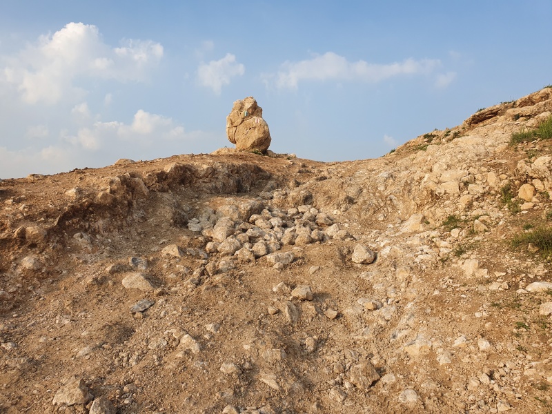 קובץ:2020-03-16T16 23 53.741117302402.jpg