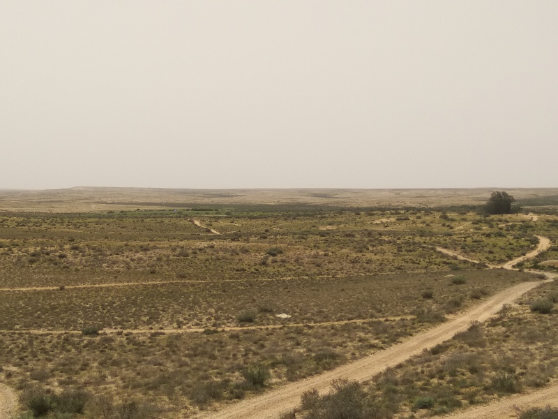 קובץ:2020-03-27T13 14 13.892283783995.jpg
