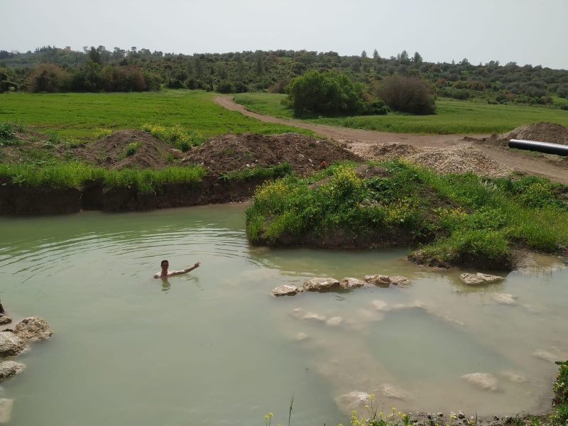 קובץ:2020-03-27T14 21 15.0789127704.jpg