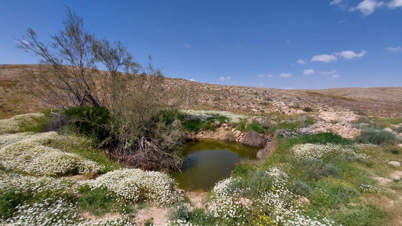 קובץ:2020-04-18T14 39 39.663756415800.jpg