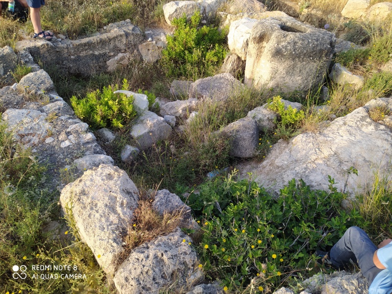 קובץ:2020-05-22T06 35 37.059553872417.jpg