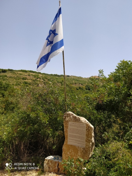 קובץ:2020-05-27T13 26 25.990952964381.jpg