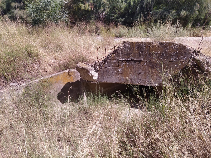 קובץ:2020-05-30T09 54 34.340237913211.jpg