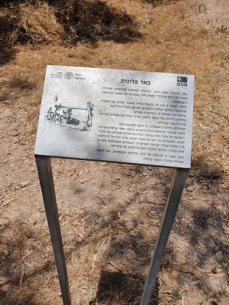 קובץ:2020-06-07T12 38 36.986572548208.jpg