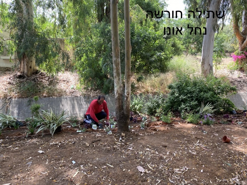 קובץ:2020-06-22T08 55 15.562034373778.jpg