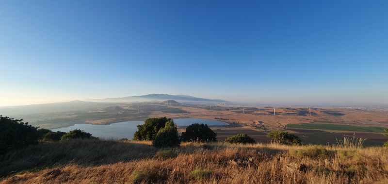 קובץ:2020-06-26T19 11 13.881403584091.jpg