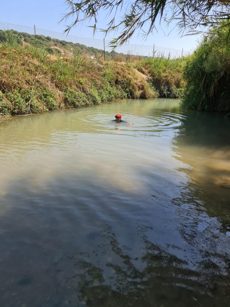 קובץ:2020-07-03T10 04 47.014500141214.jpg