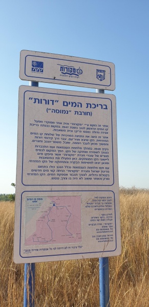 קובץ:2020-07-19T17 47 00.894282802410.jpg